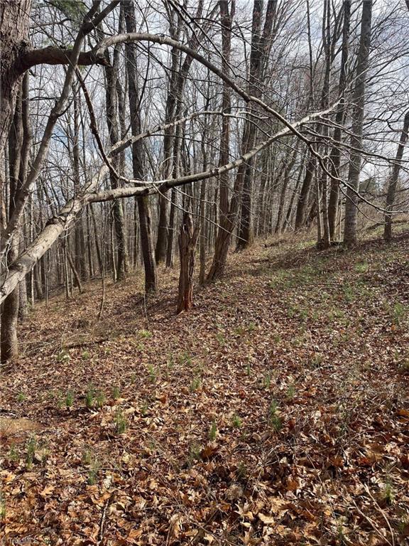 0 Overton Road Dobson, NC 27017 - Photo 25 of 30 Gallery Image 25