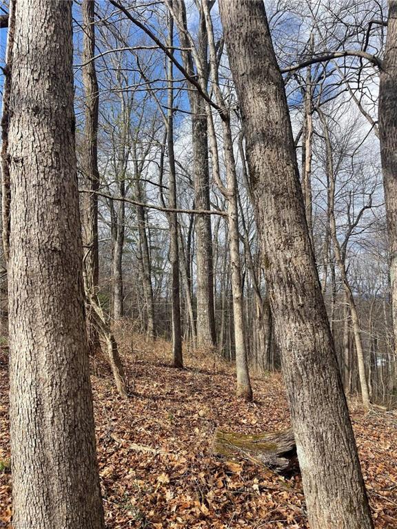 0 Overton Road Dobson, NC 27017 - Photo 26 of 30 Gallery Image 26