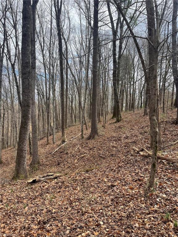 0 Overton Road Dobson, NC 27017 - Photo 27 of 30 Gallery Image 27