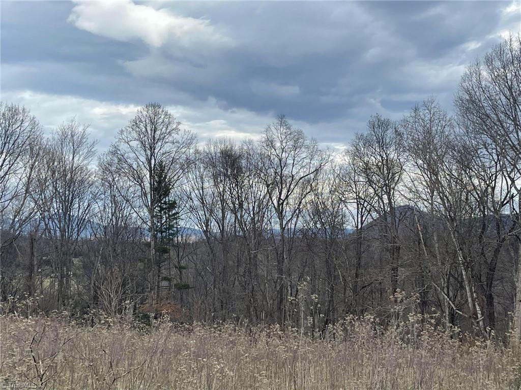 0 Overton Road Dobson, NC 27017 - Photo 7 of 30 Long Range Views!