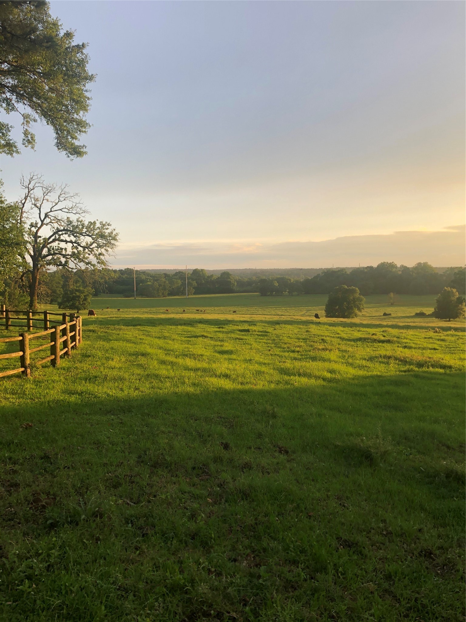 3920 Spring Branch Road Montgomery, TX 77316 - Photo 35 of 35 Gallery Image 35