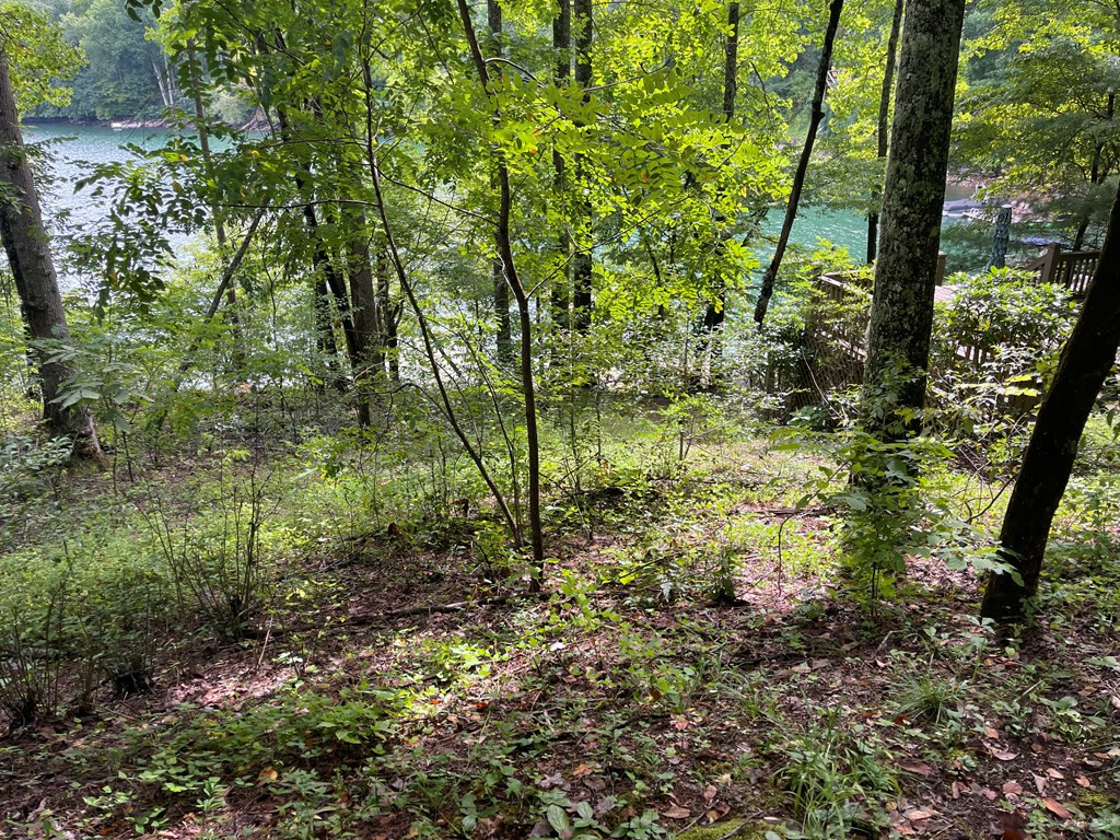 230 Walnut Tree Lane Topton, NC 28781 - Photo 34 of 37