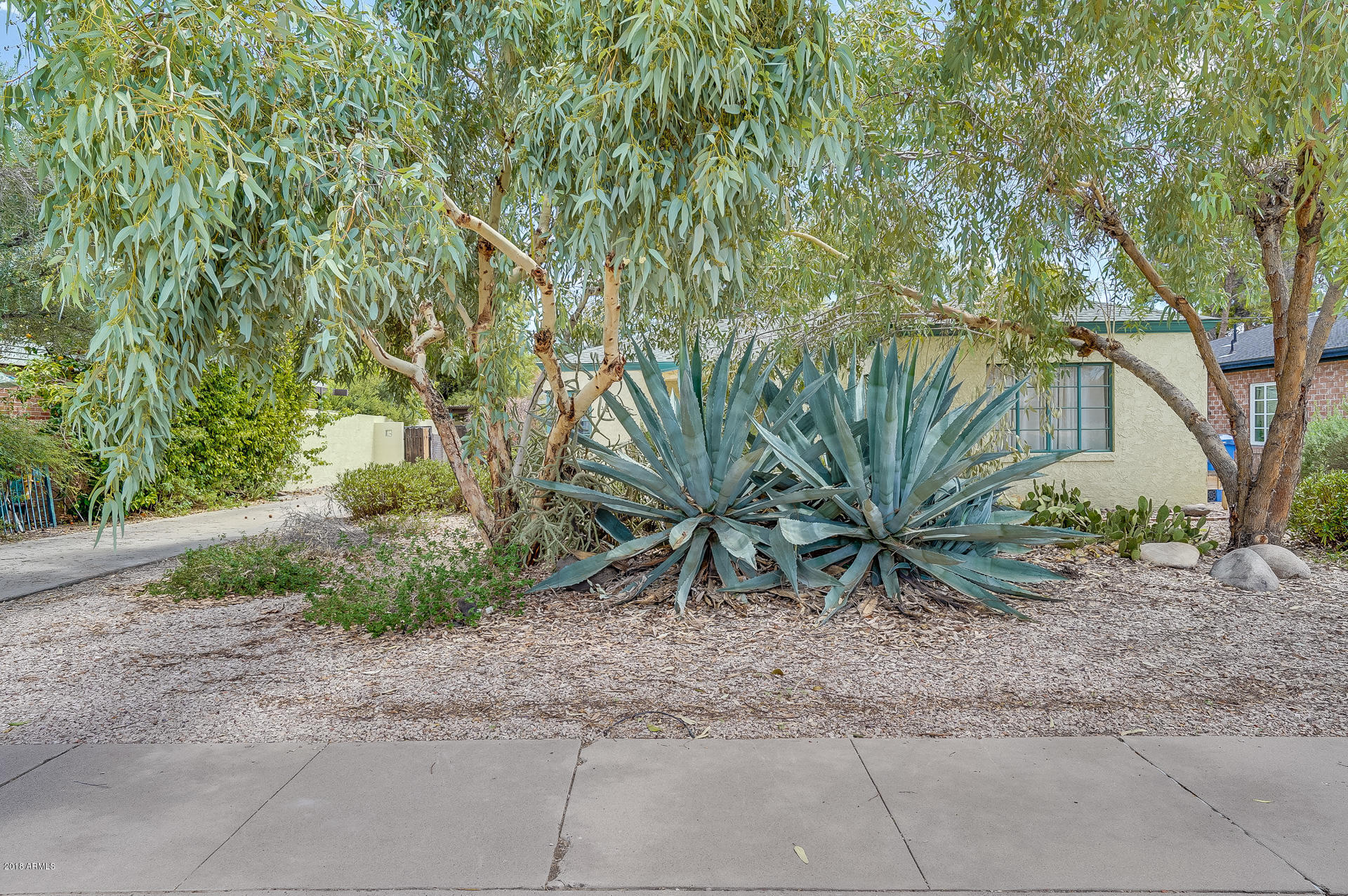 311 East Alvarado Road Phoenix, AZ 85004 - Photo 6 of 41 Front Yard