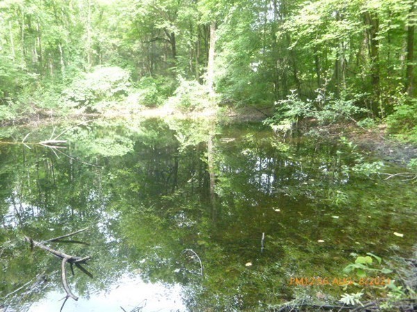 585 Mellon Road Hardwick, MA 01037 - Photo 11 of 30 Gallery Image 11