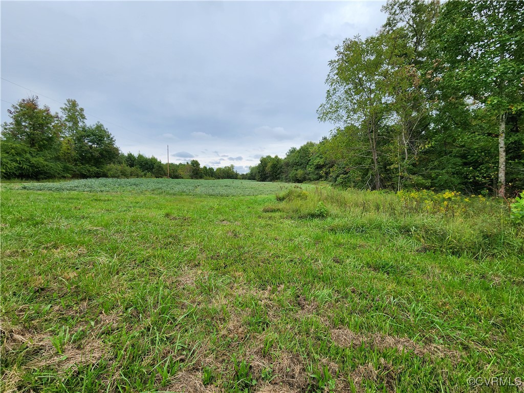 762 Vessel's Road Newtown, VA 23126 - Photo 3 of 11 View of local wilderness with a rural view