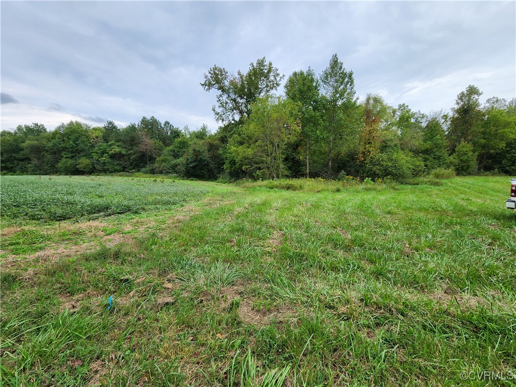 762 Vessel's Road Newtown, VA 23126 - Photo 5 of 11 View of local wilderness with a rural view