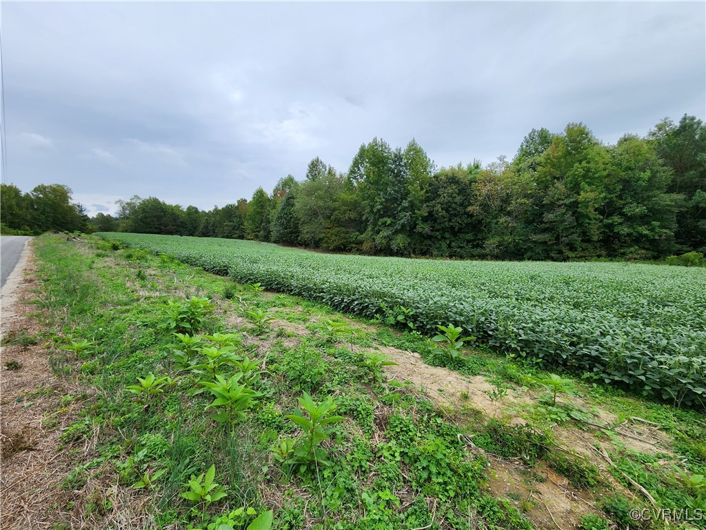 762 Vessel's Road Newtown, VA 23126 - Photo 8 of 11 View of field