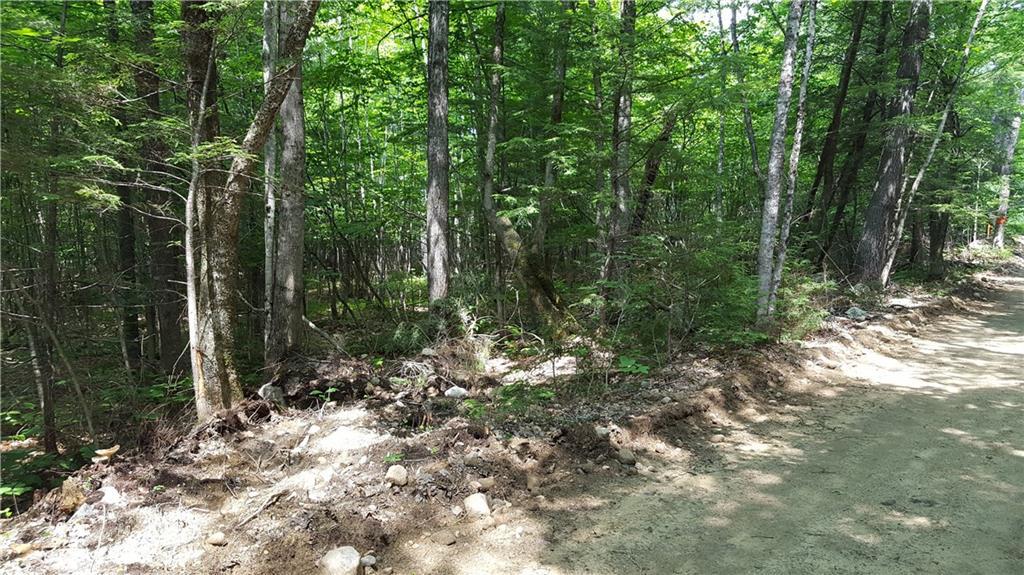 48 South Barbour Road Stow, ME 04037 - Photo 2 of 3 Photo