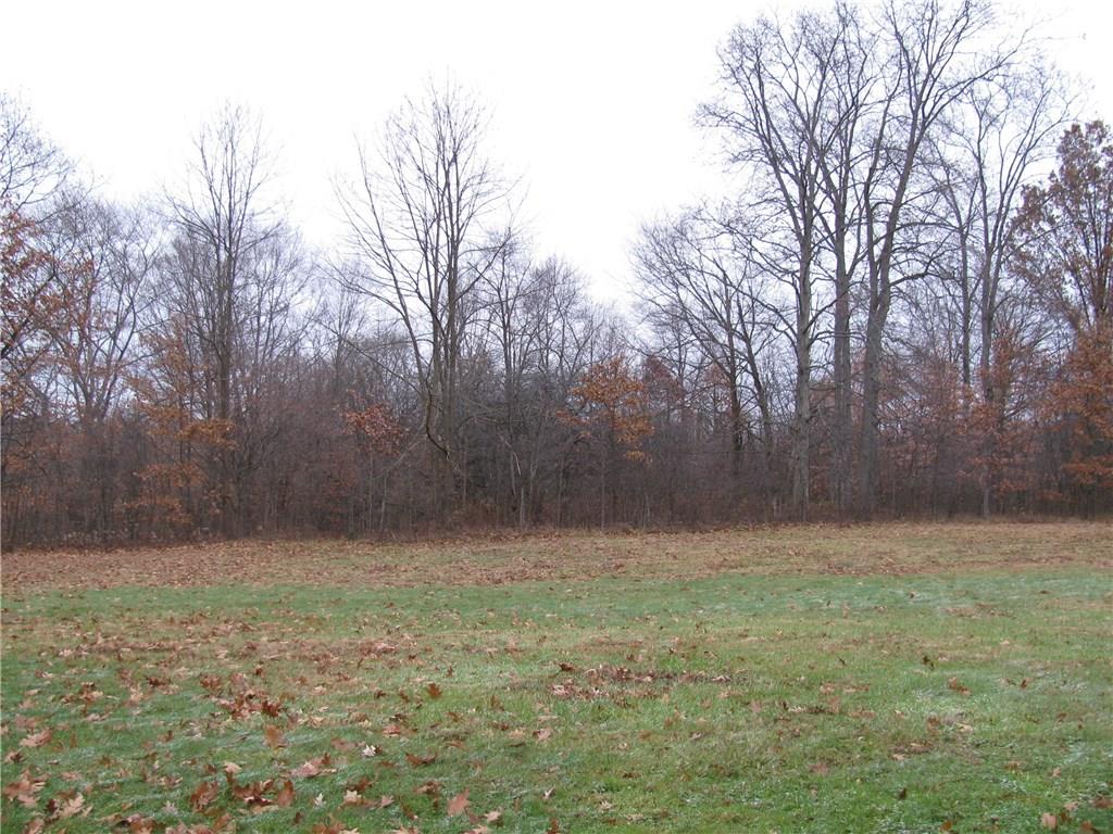 1153 District Road Fredonia, PA 16124 - Photo 4 of 4 REAR YARD