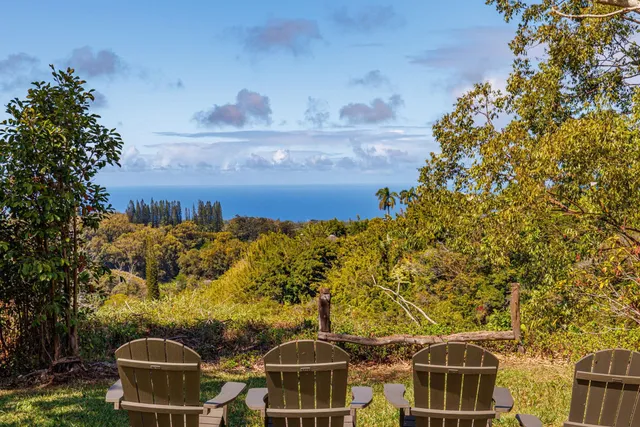 a backyard of a house with lots of green space