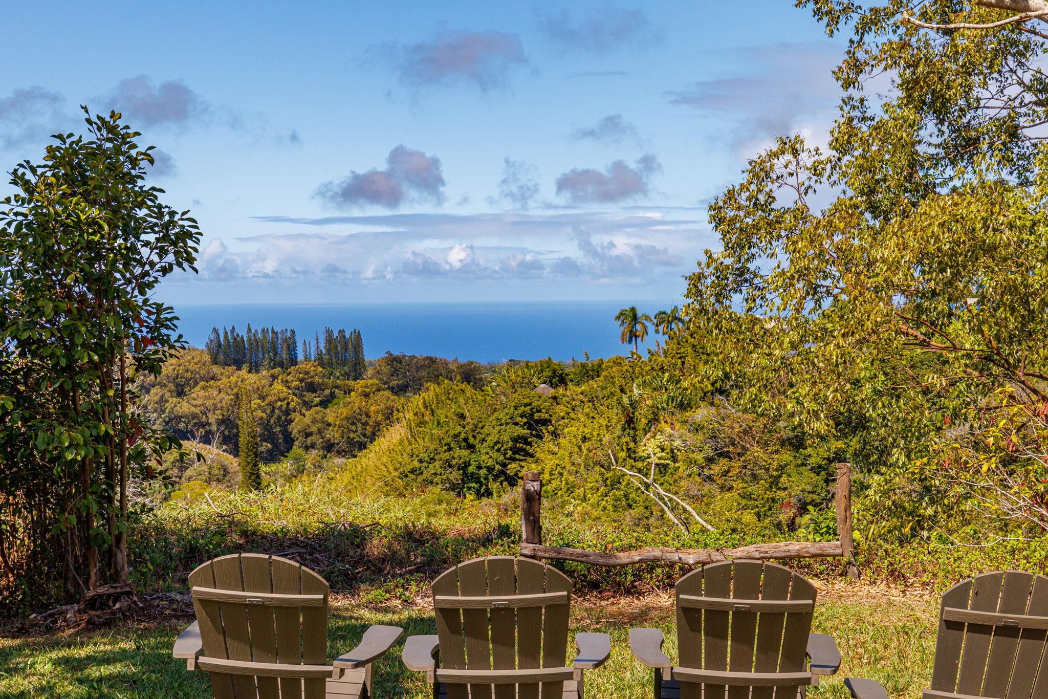 620 Awalau Road Haiku, HI 96708 - Photo 2 of 50 a backyard of a house with lots of green space