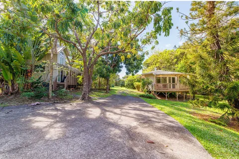 a view of a yard with plants and trees