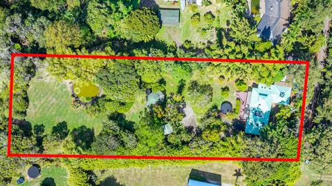 a small area with flowers