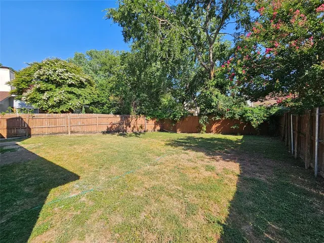 a view of a yard with an tree