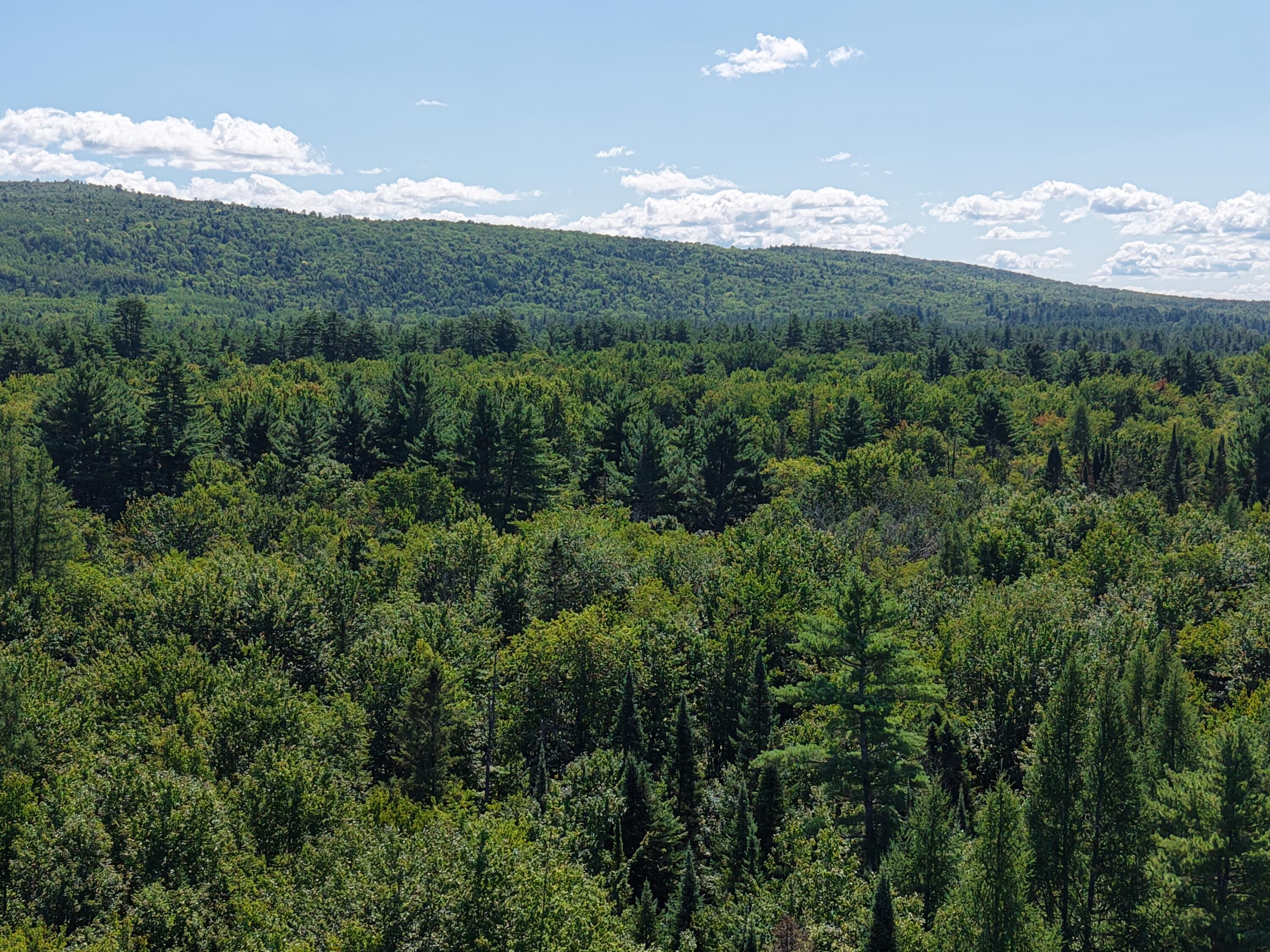 71 Birch Road New Portland, ME 04961 - Photo 97 of 100 DJI_20260826113722_0043_D