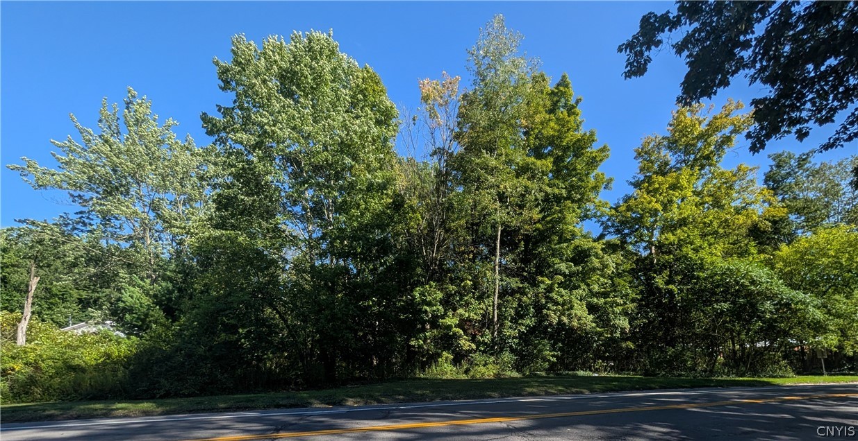 13 East Nys Route Blossvale, NY 13308 - Photo 1 of 13 Gallery Image 1