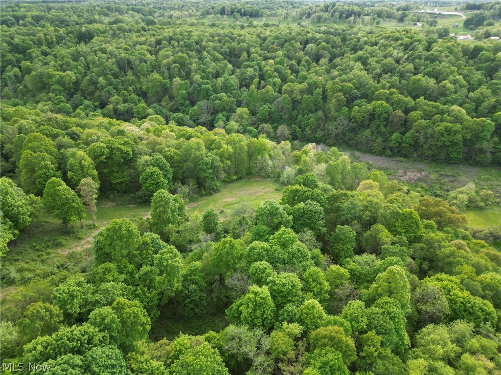 0 Kragel Road Richmond, OH 43944 - Photo 22 of 31 View of birds eye view of property
