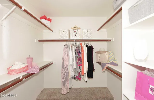 a view of walk in closet with clothes and shoes