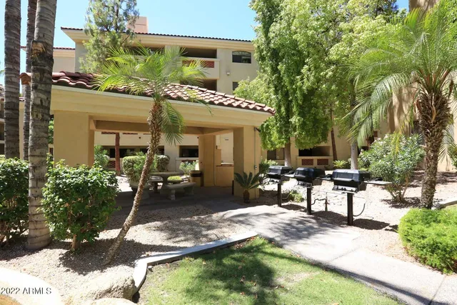 a view of a patio with table and chairs potted plants and large tree