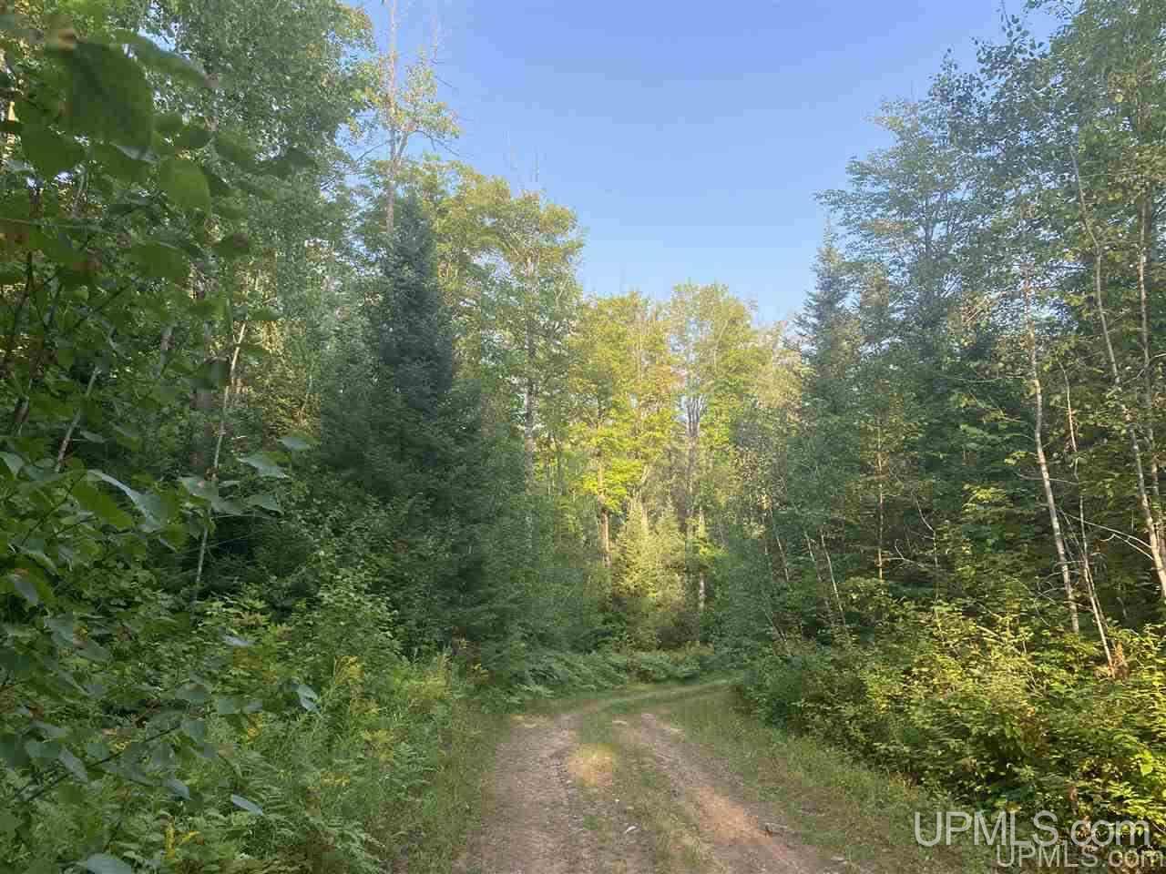 Off Off M64s Bessemer, MI 49911 - Photo 25 of 33