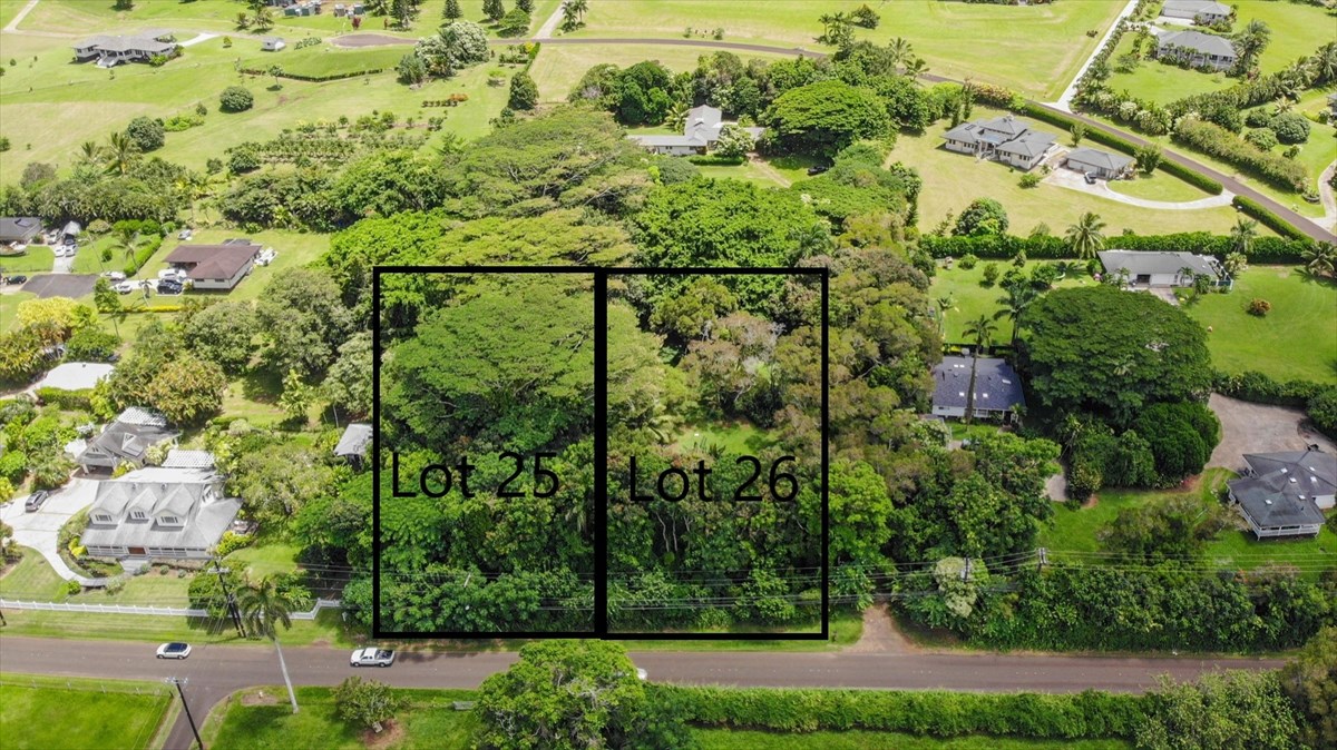 838 Lot 135- Kamalu Road Kapaa, HI 96746 - Photo 2 of 9 Gallery Image 2