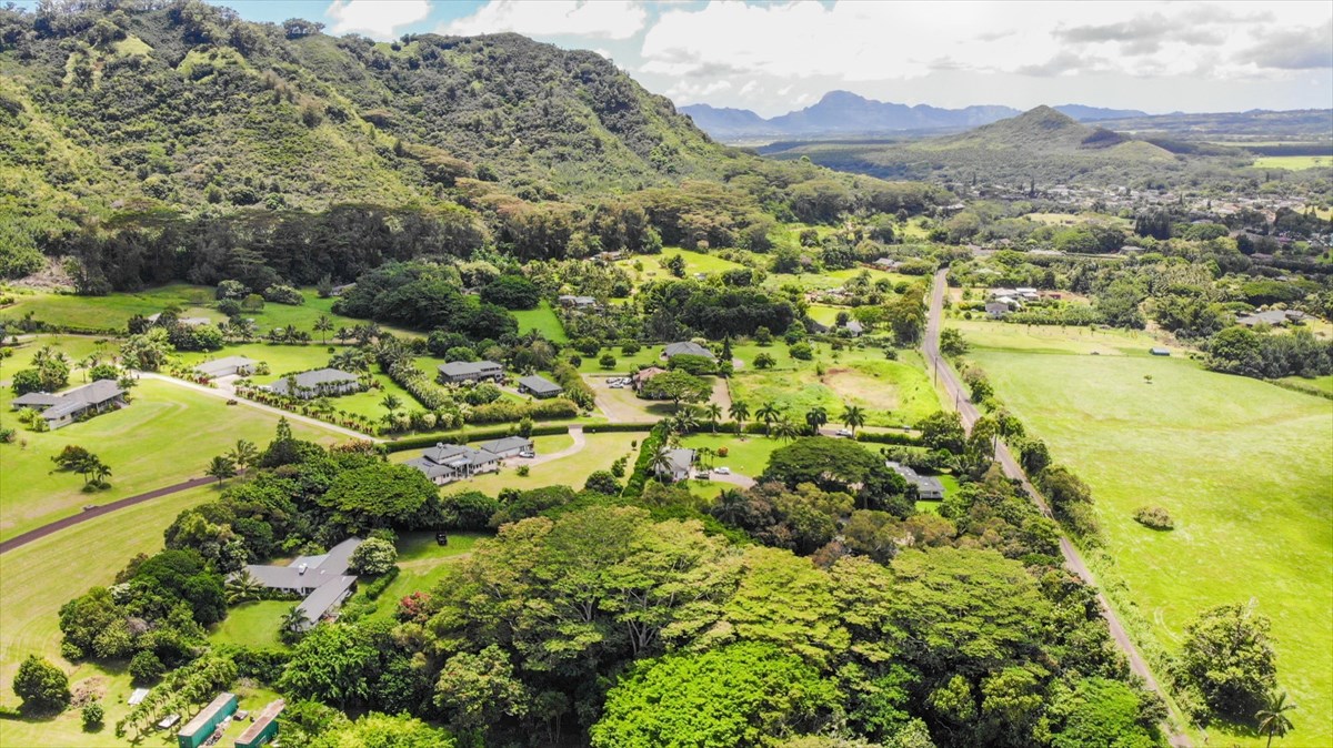 838 Lot 135- Kamalu Road Kapaa, HI 96746 - Photo 3 of 9 Gallery Image 3