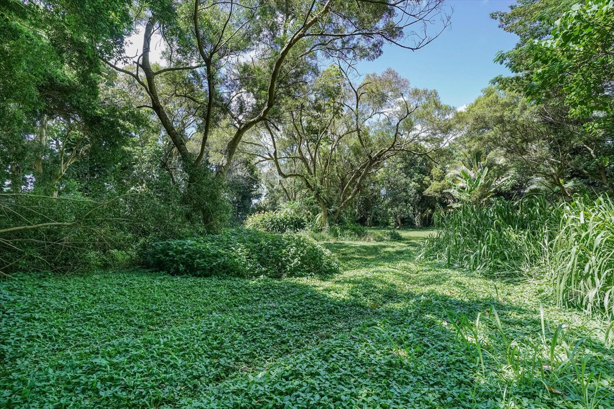 838 Lot 135- Kamalu Road Kapaa, HI 96746 - Photo 5 of 9 Gallery Image 5