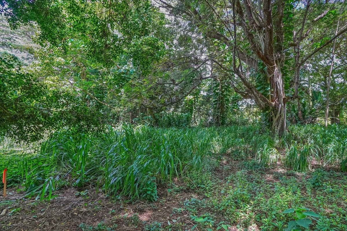 838 Lot 135- Kamalu Road Kapaa, HI 96746 - Photo 8 of 9 Gallery Image 8