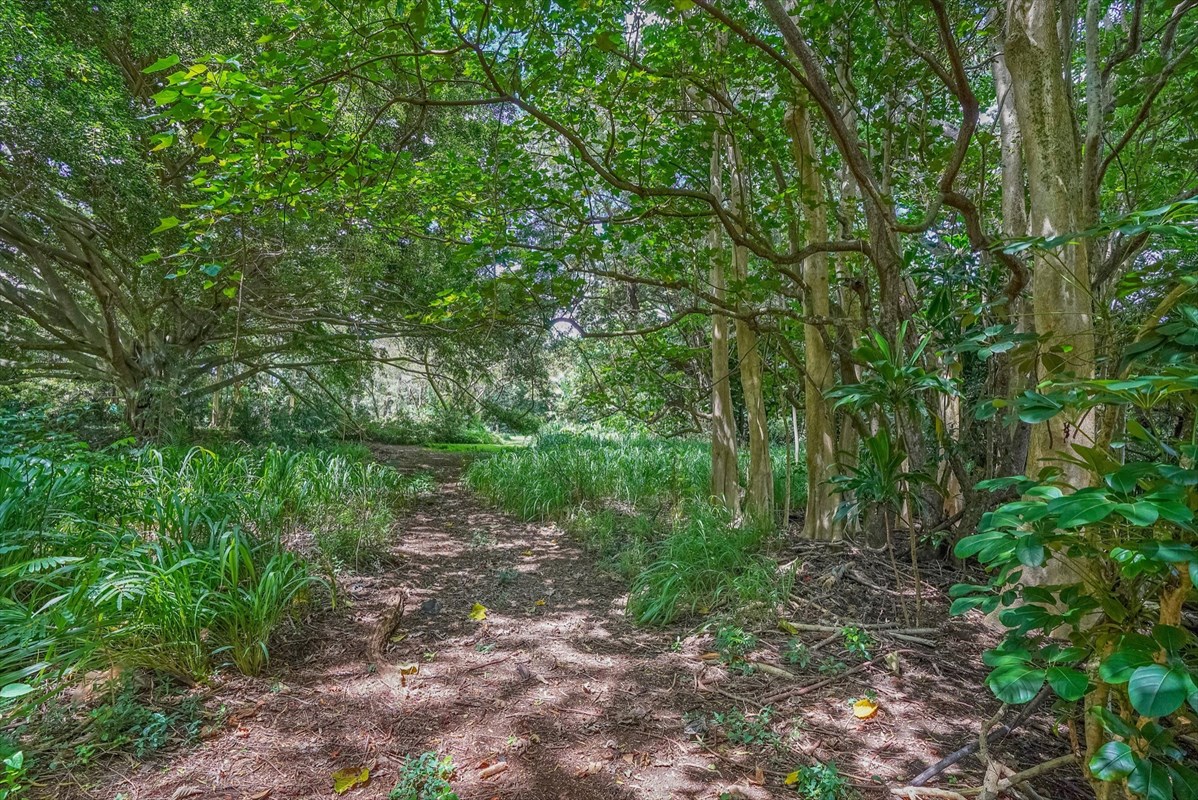 838 Lot 135- Kamalu Road Kapaa, HI 96746 - Photo 9 of 9 Gallery Image 9