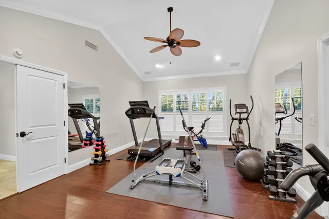 a view of a park with palm trees