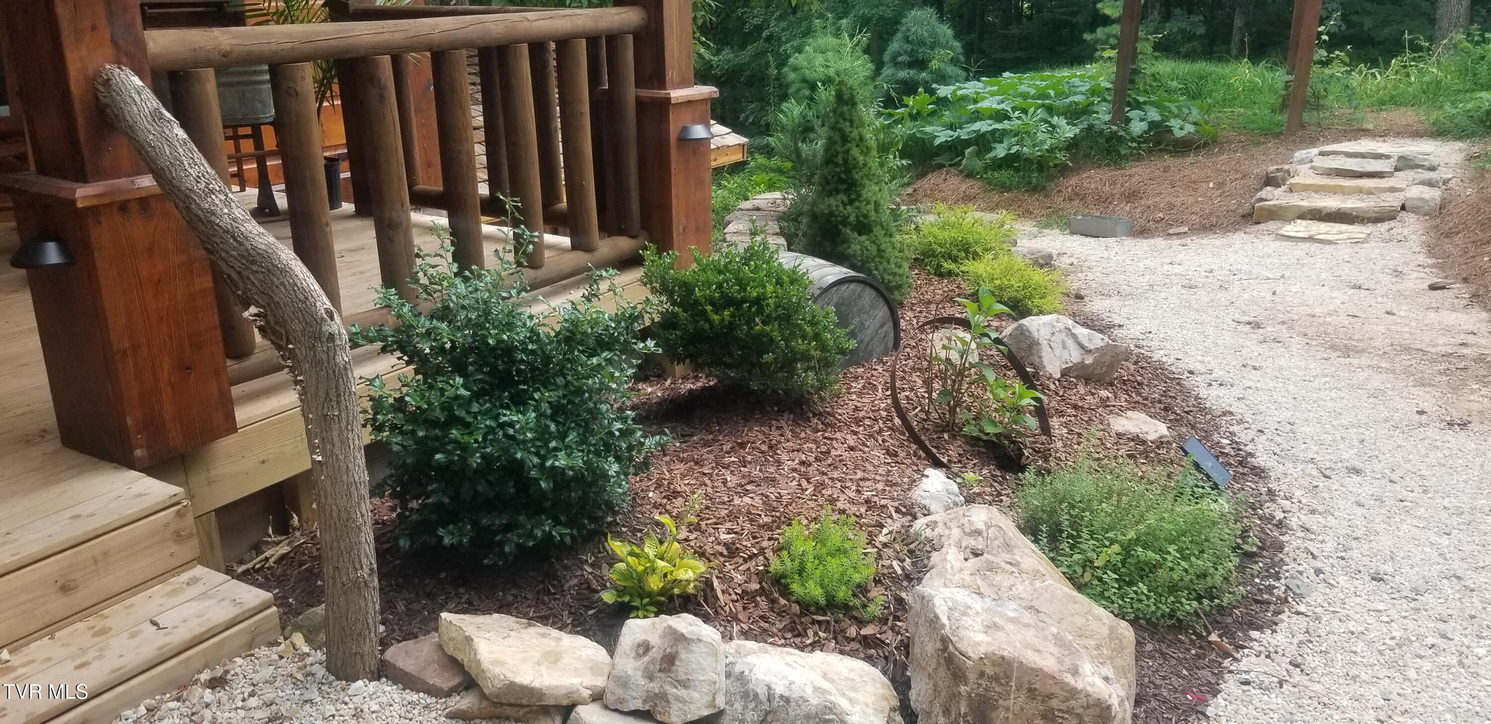 438 Willow Springs Road Elizabethton, TN 37643 - Photo 103 of 161 Guest House (10)
