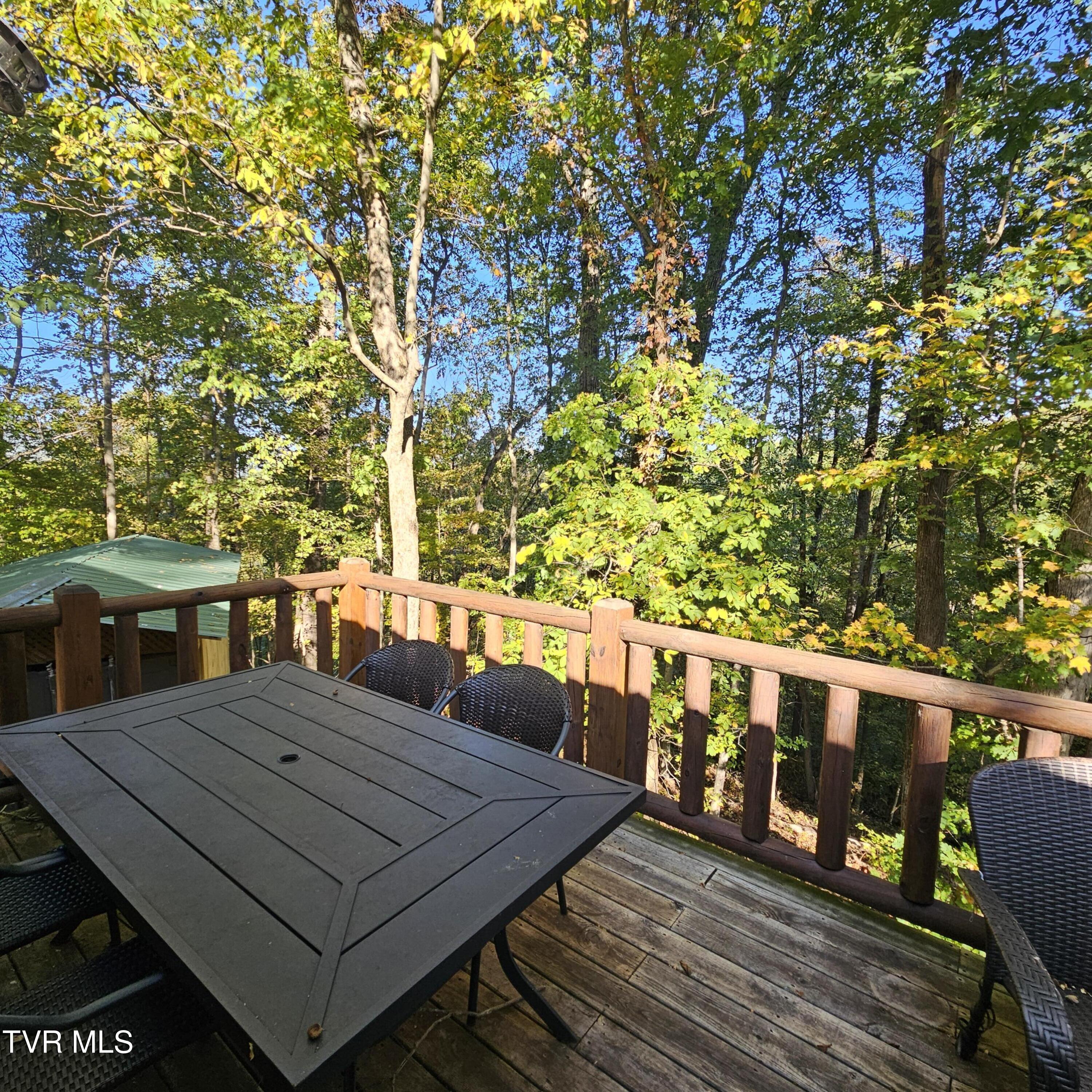 438 Willow Springs Road Elizabethton, TN 37643 - Photo 125 of 161 Guest House (28)