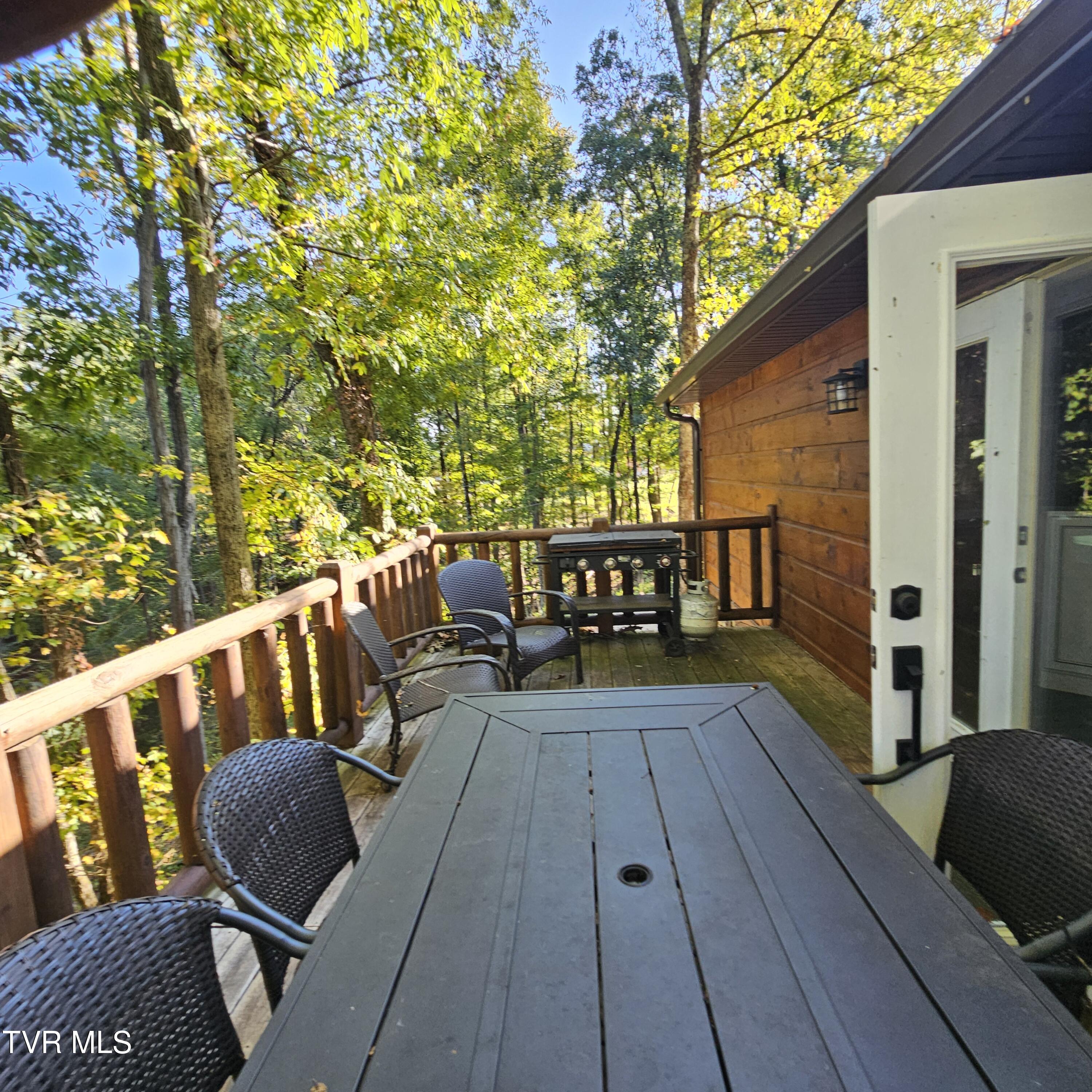 438 Willow Springs Road Elizabethton, TN 37643 - Photo 126 of 161 Guest House (29)