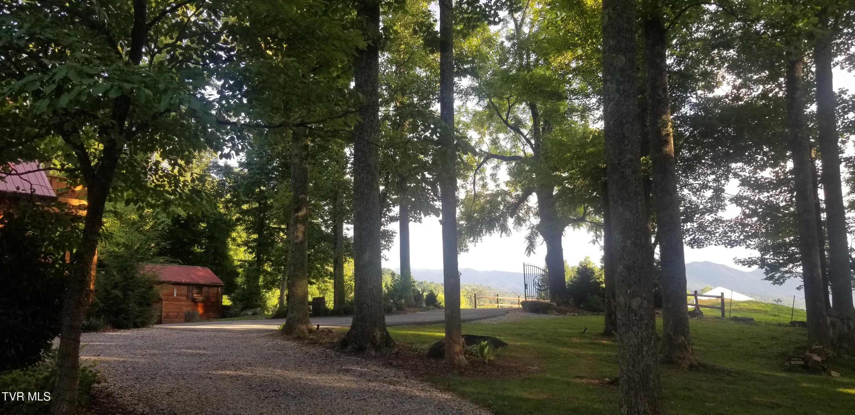 438 Willow Springs Road Elizabethton, TN 37643 - Photo 142 of 161 20220813_184205
