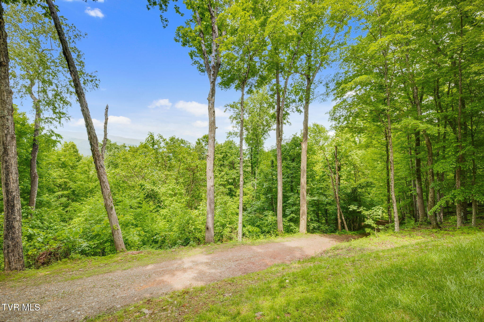 438 Willow Springs Road Elizabethton, TN 37643 - Photo 33 of 161 025