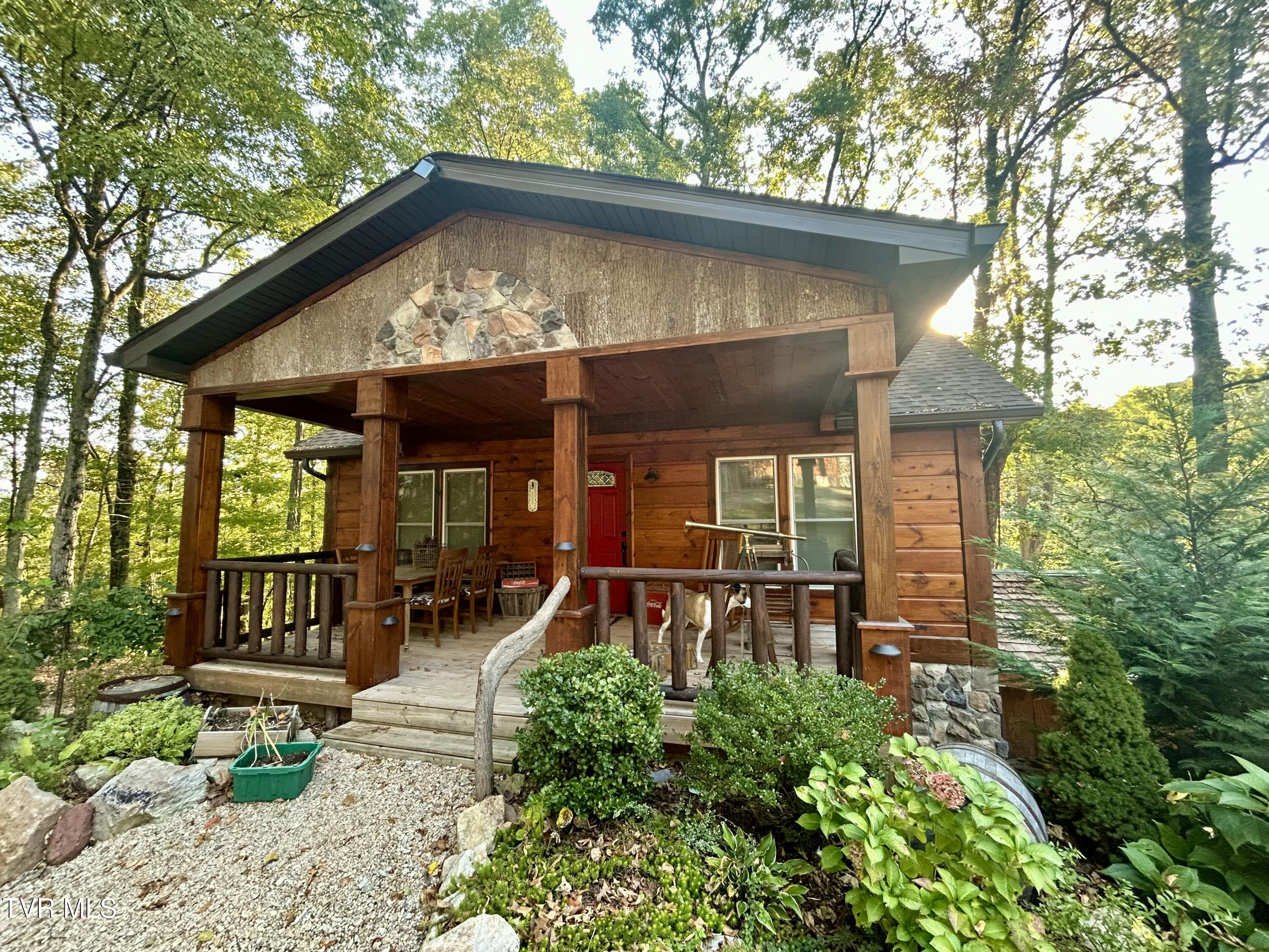 438 Willow Springs Road Elizabethton, TN 37643 - Photo 89 of 161 Guest House (1)