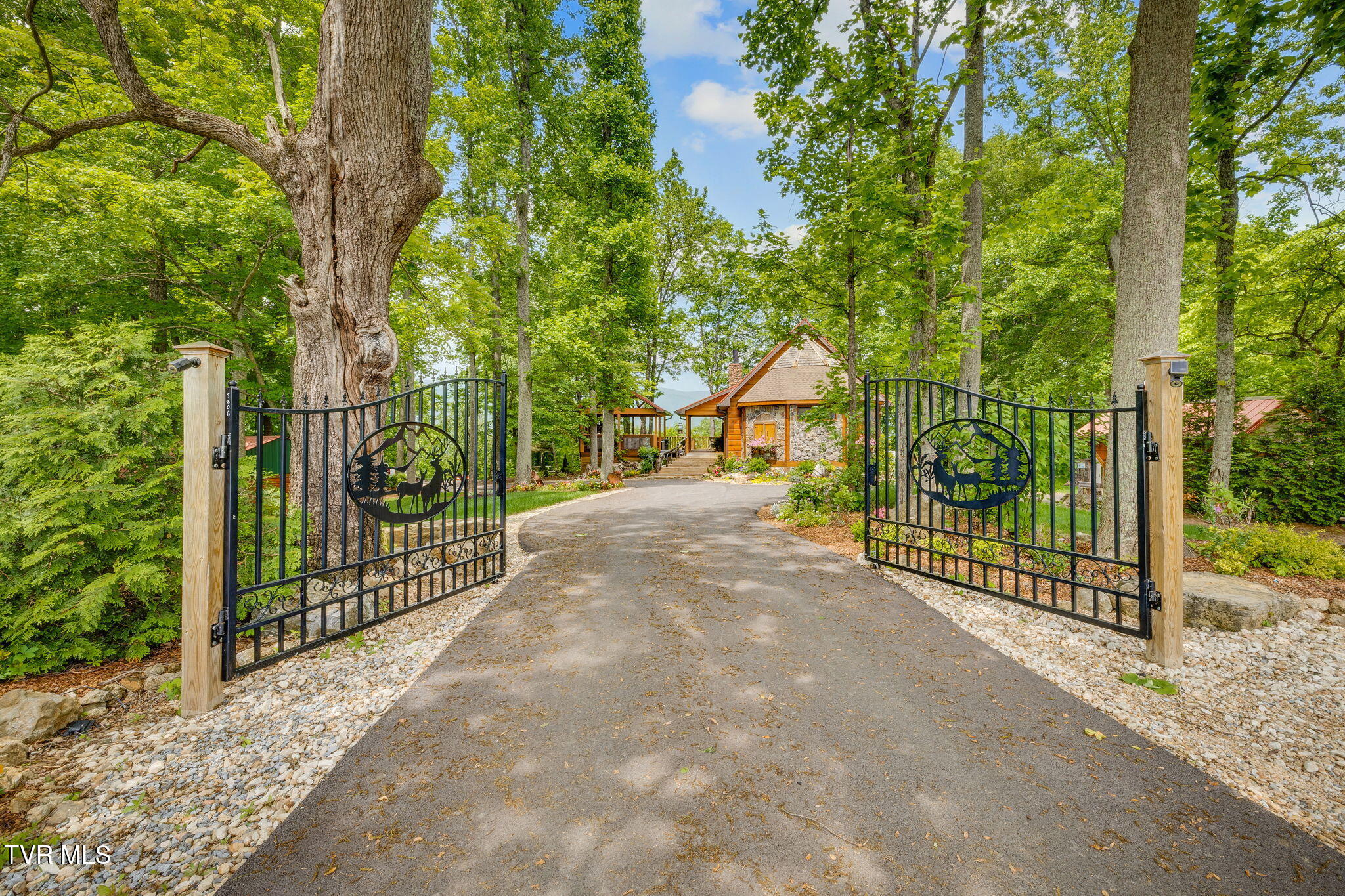 438 Willow Springs Road Elizabethton, TN 37643 - Photo 9 of 161 Main House Entrance