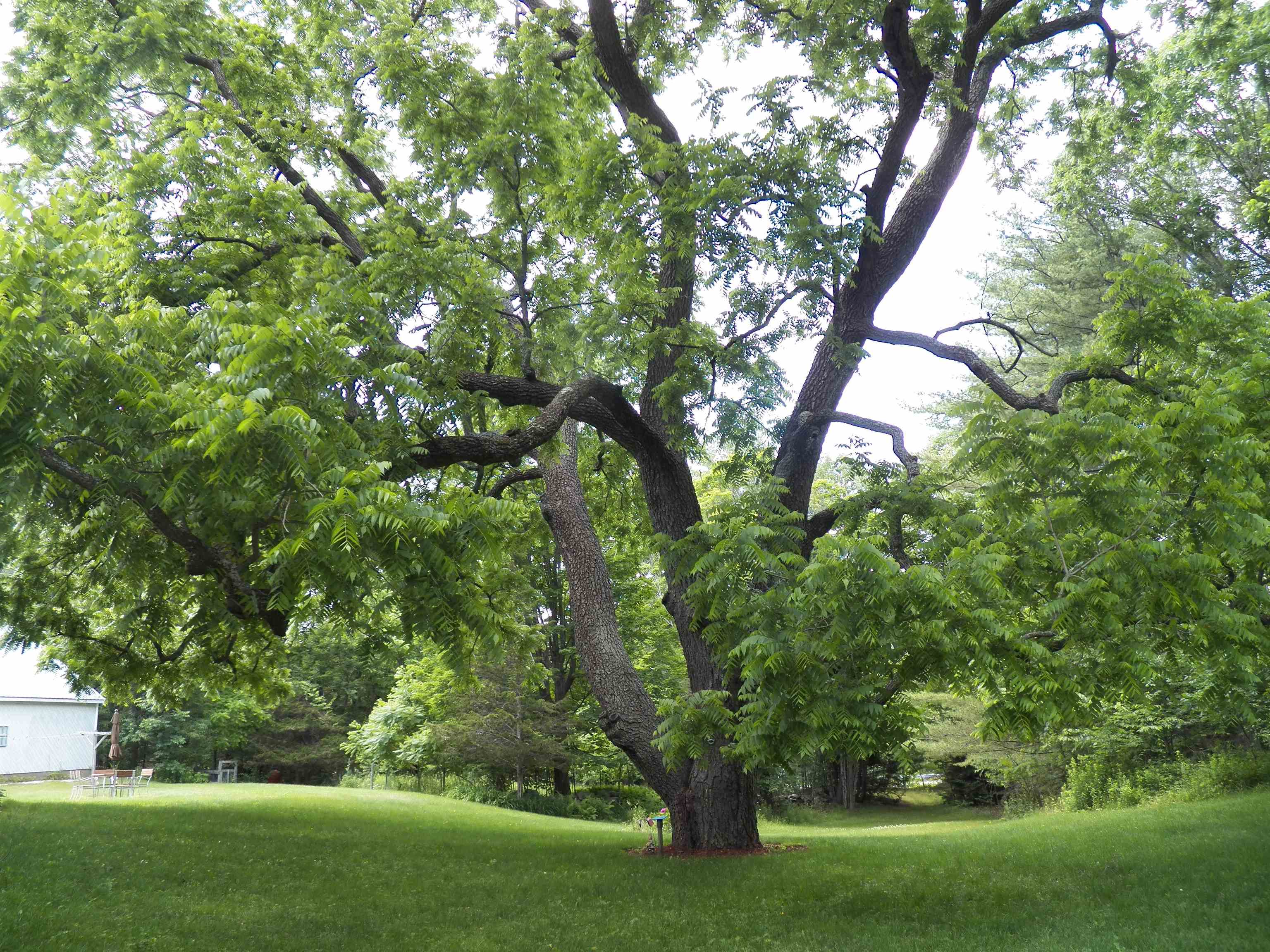 113 Mountain View Road Deerfield, NH 03037 - Photo 32 of 35