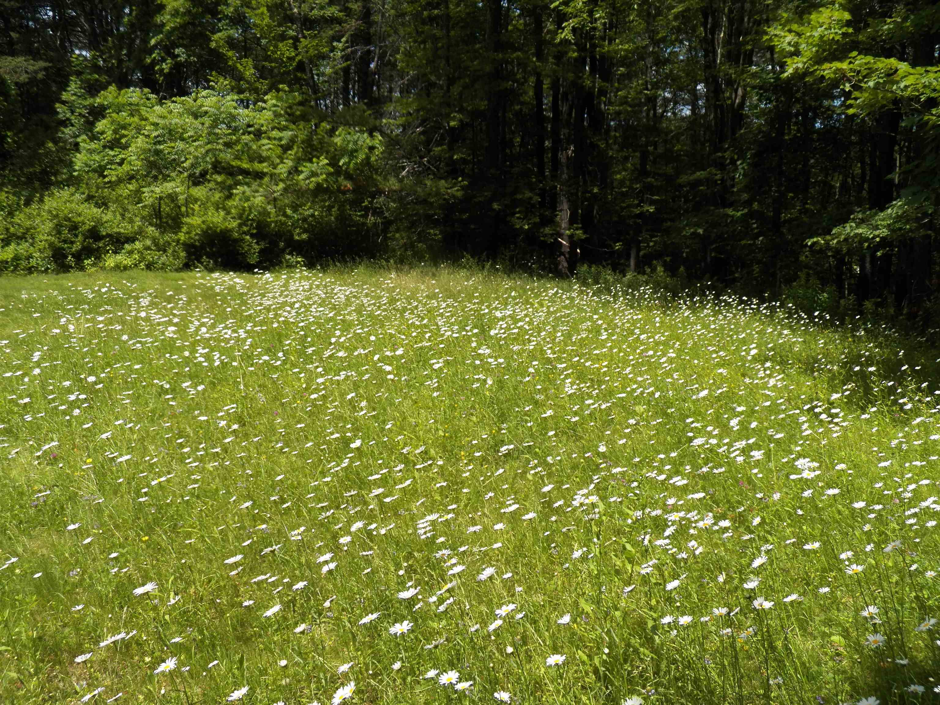 113 Mountain View Road Deerfield, NH 03037 - Photo 33 of 35