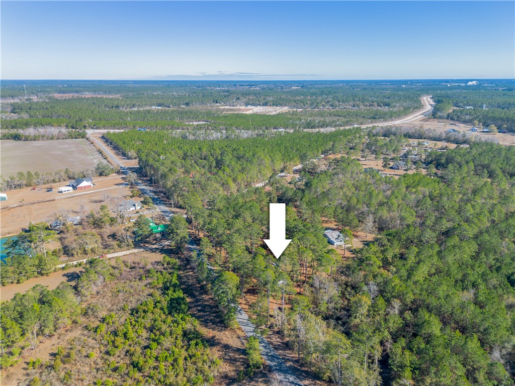 4768 Lovett Road Waycross, GA 31503 - Photo 6 of 42