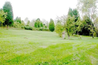 2926 Hempfling Road Morning View, KY 41063 - Photo 2 of 8 Gallery Image 2
