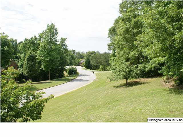240 Quail Ridge Road Helena, AL 35080 - Photo 32 of 32