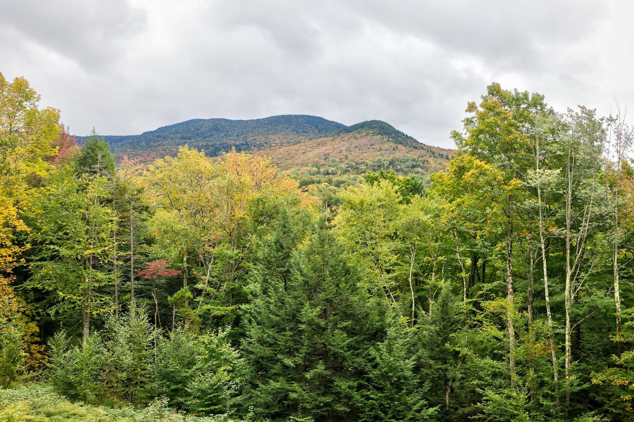200 Bryan Road Stowe, VT 05672 - Photo 4 of 36