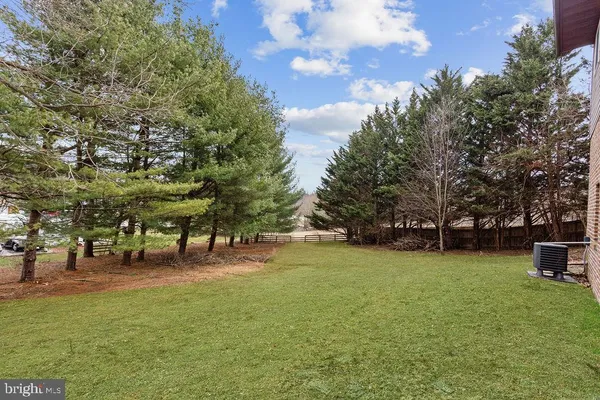 a view of a tree in front of a house