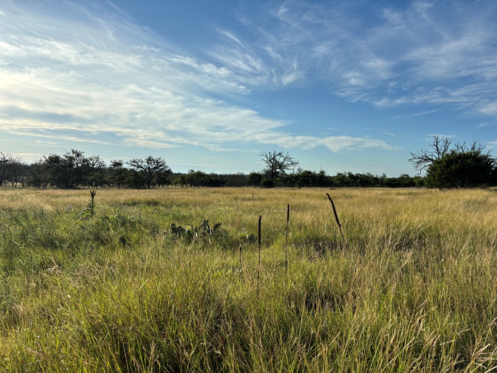 183 Lipan Loop, Unit 20 Harper, TX 78631 - Photo 6 of 14 a view of a lake with houses in the back