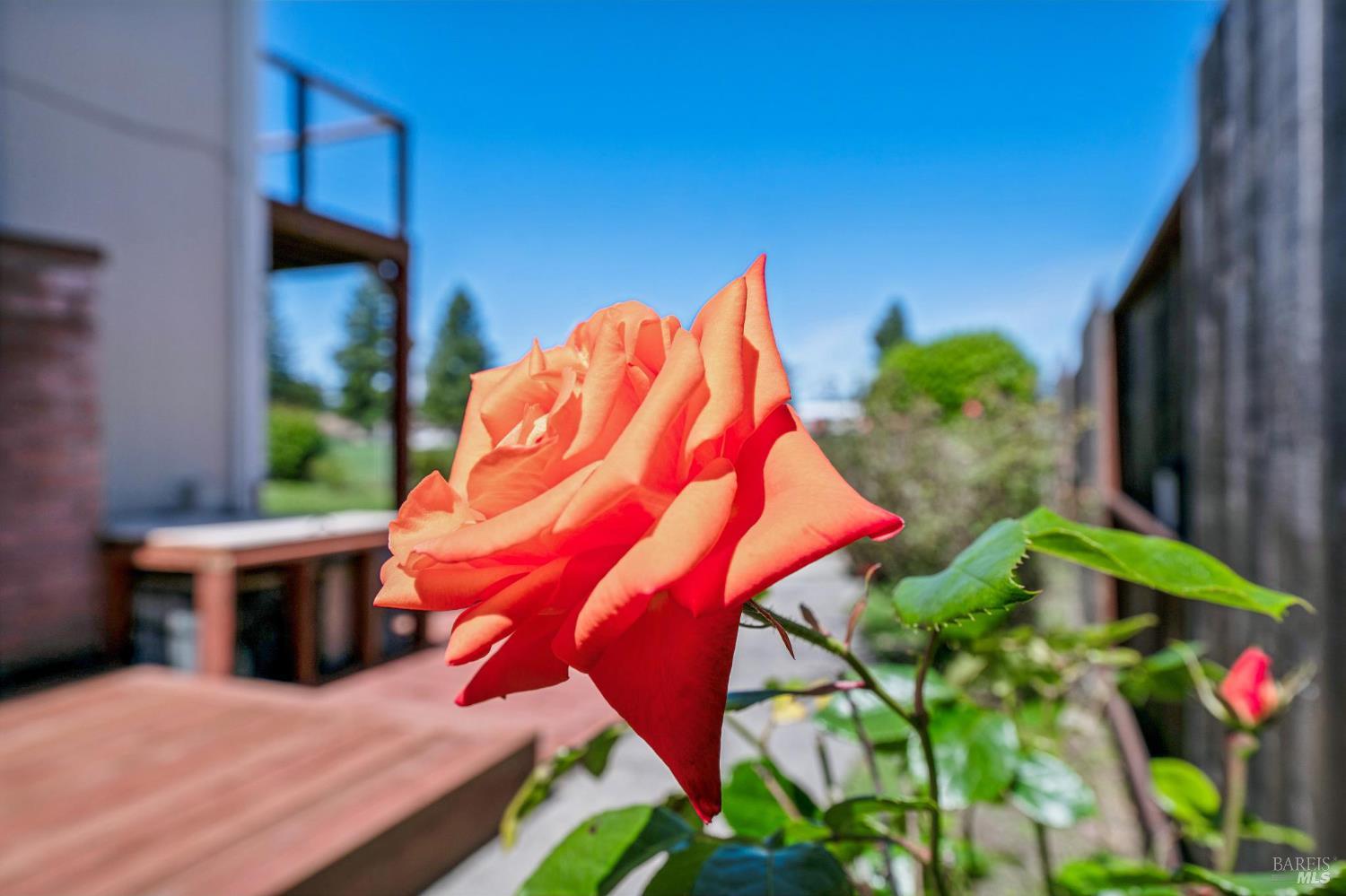 4987 Fern Place Rohnert Park, CA 94928 - Photo 46 of 54 Gallery Image 46