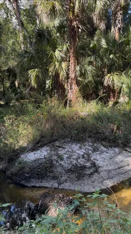 a view of a outdoor space and a lake view