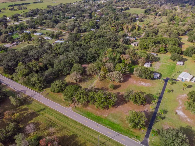 a view of a field with a tree