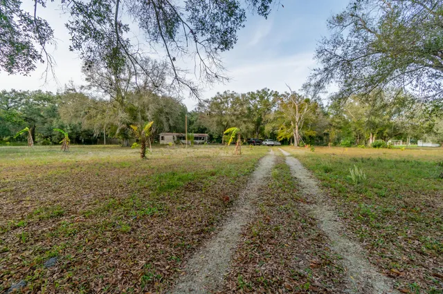a view of a field with trees