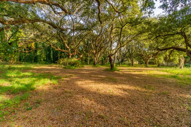 a view of dirt field with trees